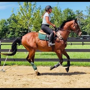 Meet your Posher, Kate